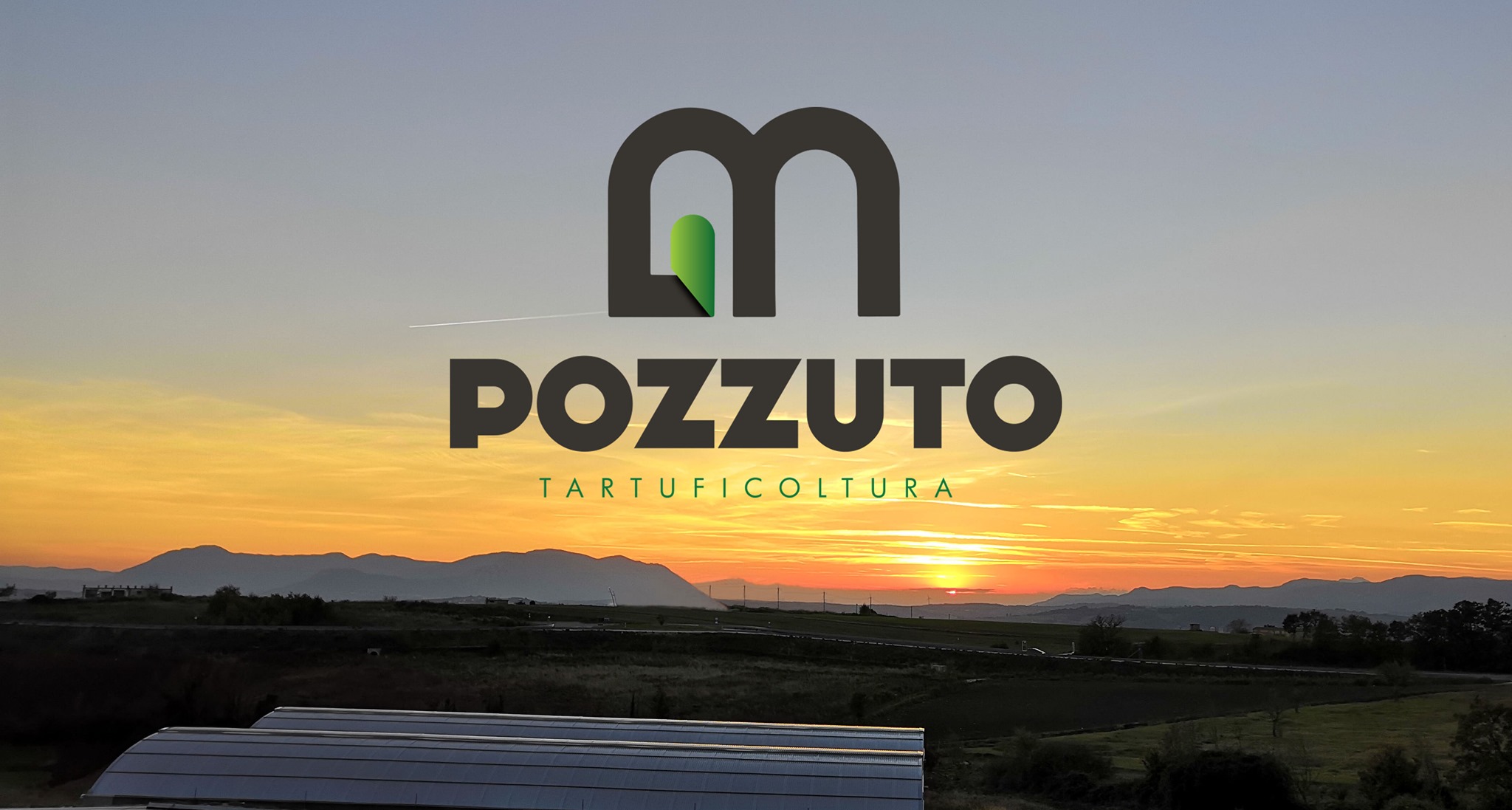 GM POZZUTO Tartuficoltura