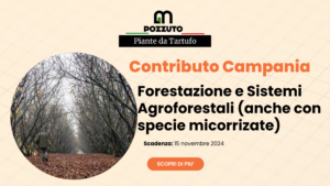 NUOVO CONTRIBUTO REGIONE CAMPANIA PER FORESTAZIONE E SISTEMI AGROFORESTALI